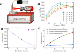 Magnetic Nanoparticles as Label Free Dual Function Nanoheaters and Nanothermometers ST 1