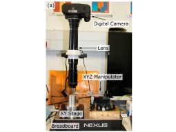 Deterministic Transfer  of 2D Materials  by Viscoelastic stamping setup