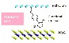 The covalent connection between 2D materials improves device optoelectronic response